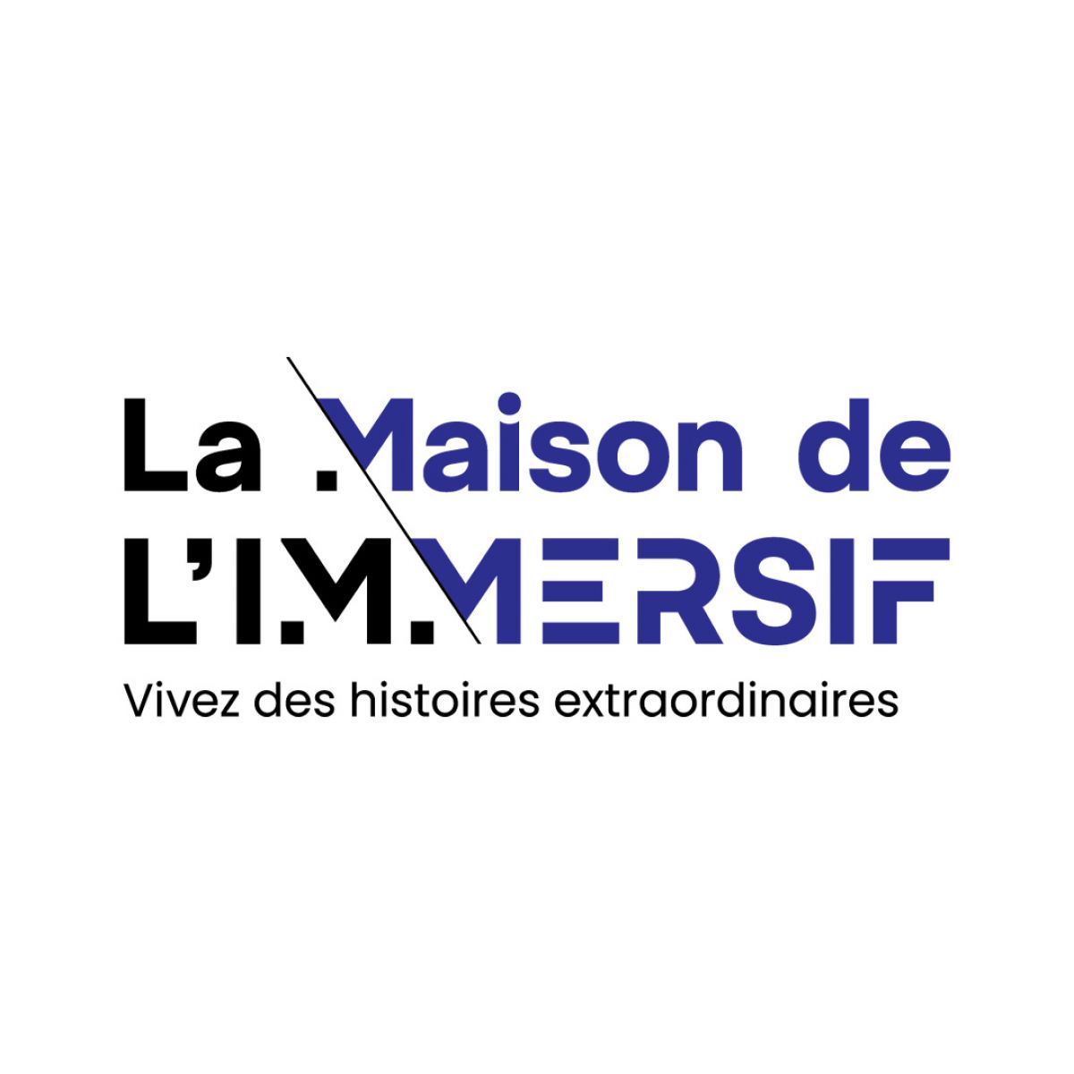 La Maison de l'Immersif